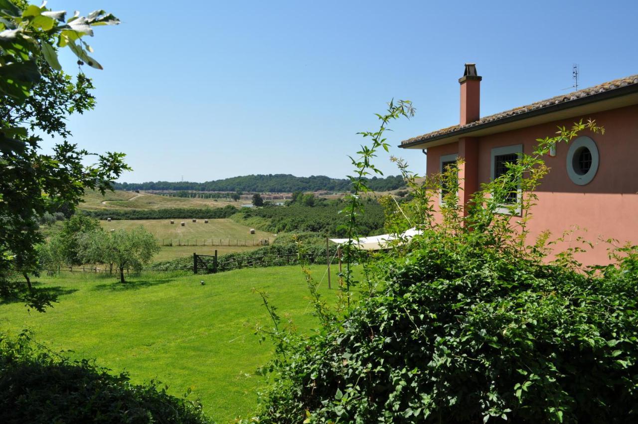 Bed and Breakfast Casale Vicino Al Golf Nazionale Monterosi Екстер'єр фото
