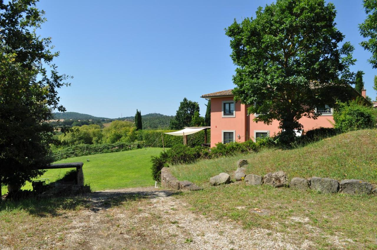 Bed and Breakfast Casale Vicino Al Golf Nazionale Monterosi Екстер'єр фото